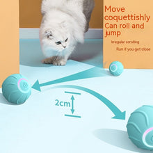Smart Cat Toy