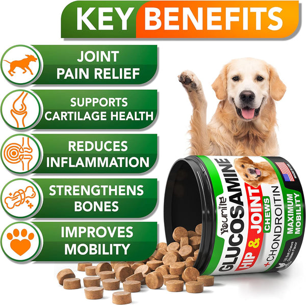 Pet Supplement