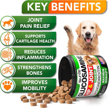 Pet Supplement