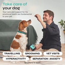 Hemp Calming Chew