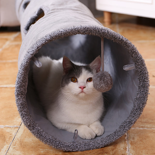 Cat Tunnel Toy