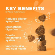 Allergy Chew For Dog