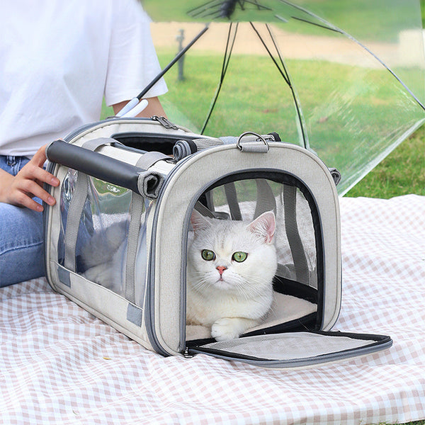 Cat Bag