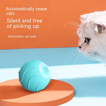 Smart Cat Toy