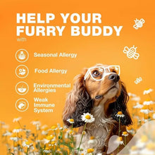 Allergy Chew For Dog